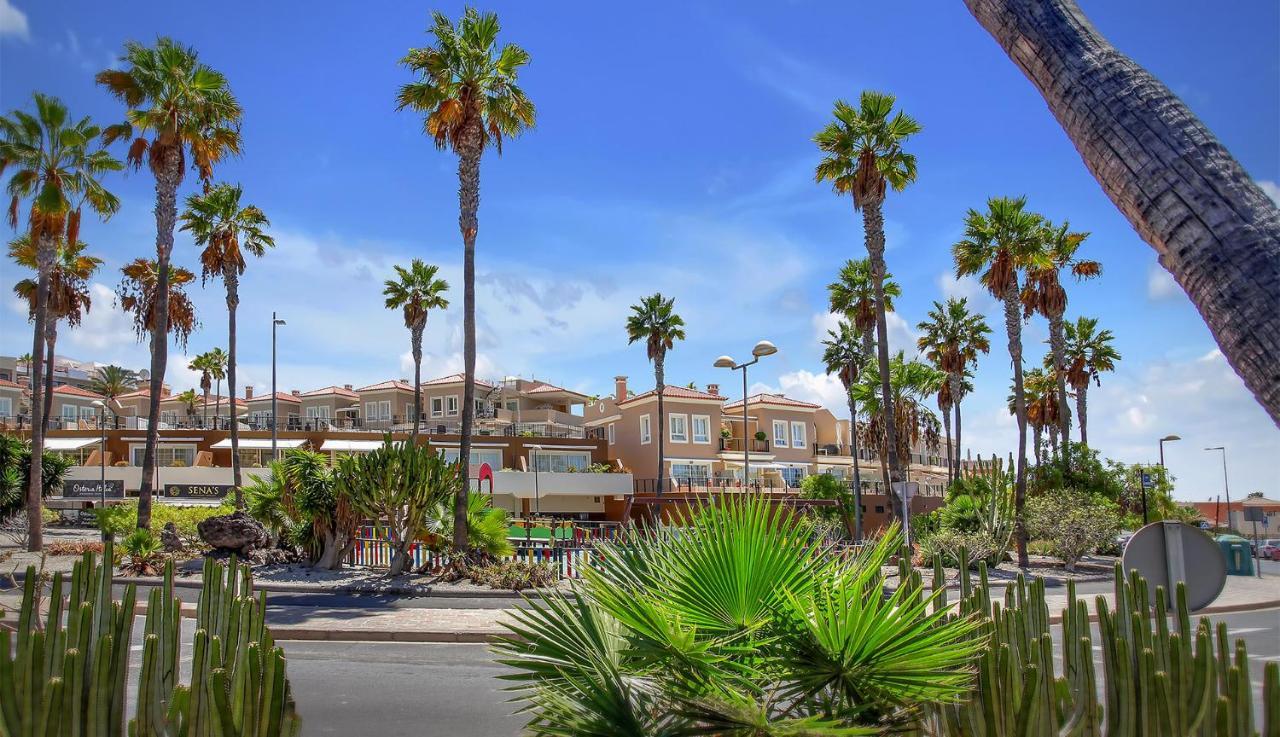 Luxury House Paraiso Del Palm Mar Dış mekan fotoğraf